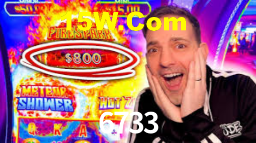 6733